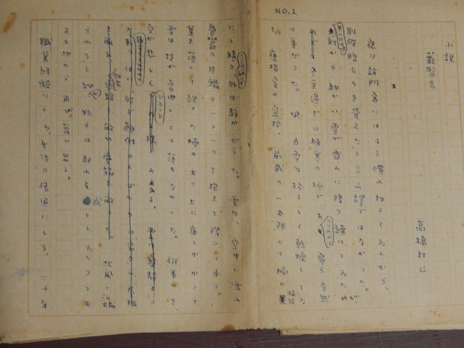 藪医者